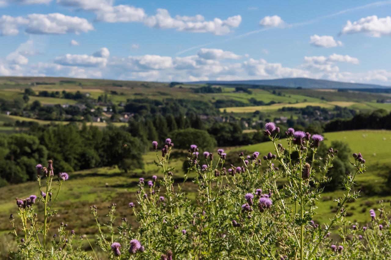 Gilsland Hall Hotel Carlisle  Zewnętrze zdjęcie